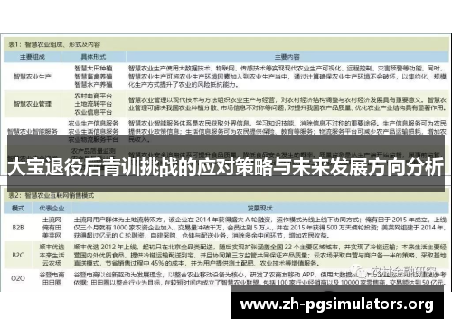 大宝退役后青训挑战的应对策略与未来发展方向分析