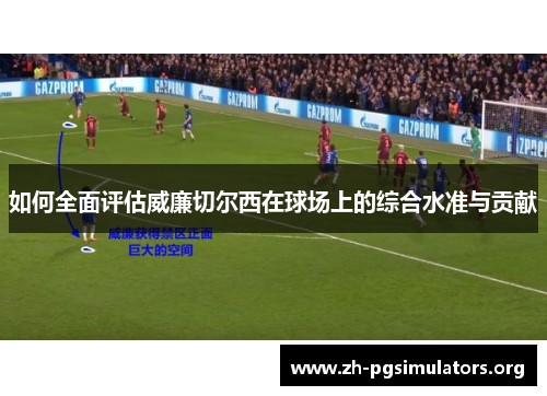 如何全面评估威廉切尔西在球场上的综合水准与贡献