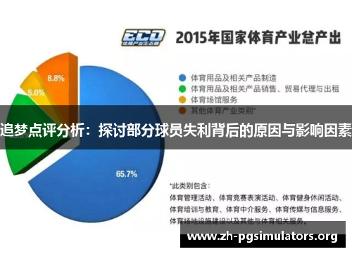 追梦点评分析：探讨部分球员失利背后的原因与影响因素