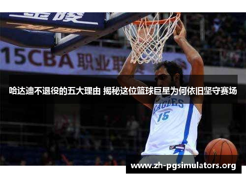 哈达迪不退役的五大理由 揭秘这位篮球巨星为何依旧坚守赛场